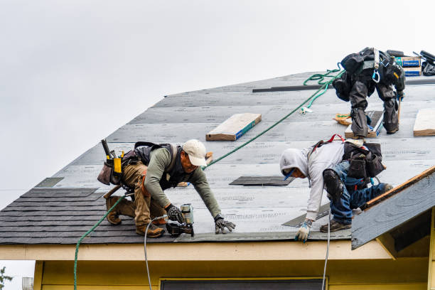 Professional Storm Damage Roof Repair technician working in Uhrichsville, OH
